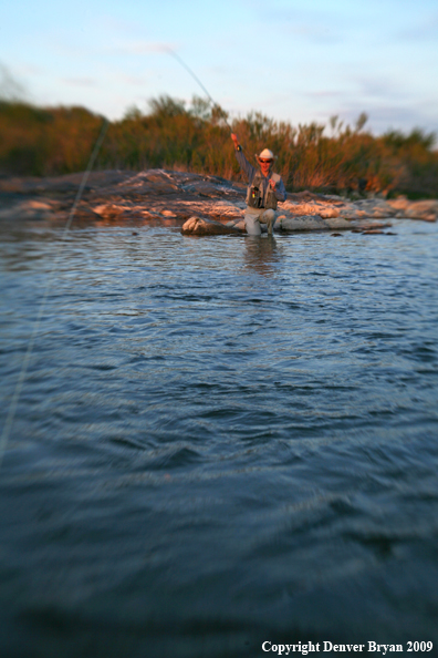 Woman flyfishing