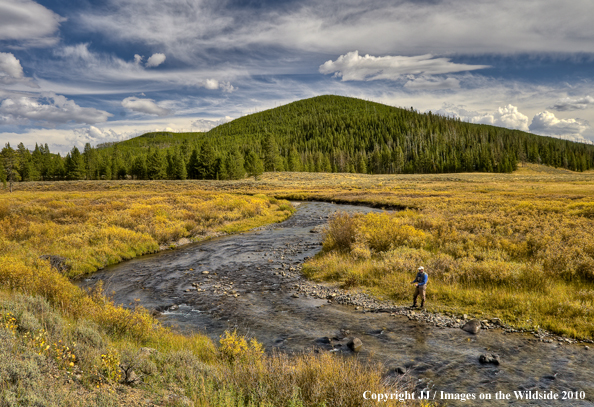 Fan Creek, Yellowstone National Park.