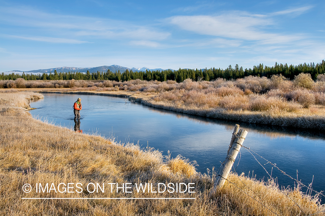 Flyfishing on South Fork Madison, MT.