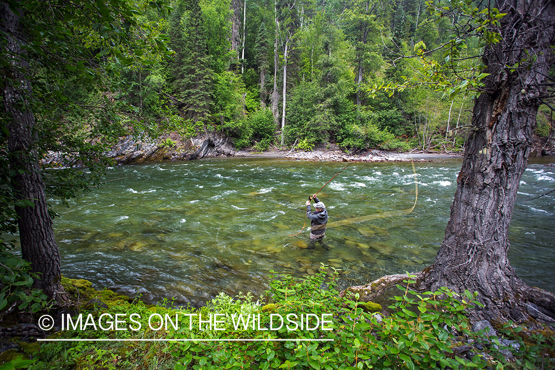 Flyfisherman spey casting on Nakina River, British Columbia.