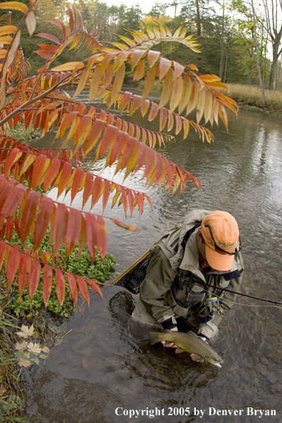 Flyfisherman with nice brown trout.