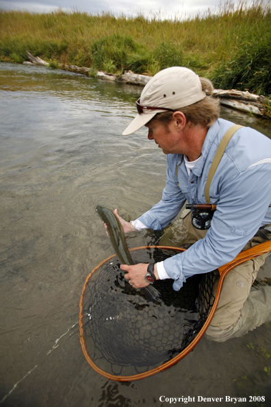 Flyfisherman releasing brown trout