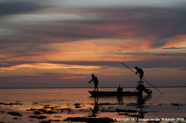 Saltwater Flyfishing at sunset