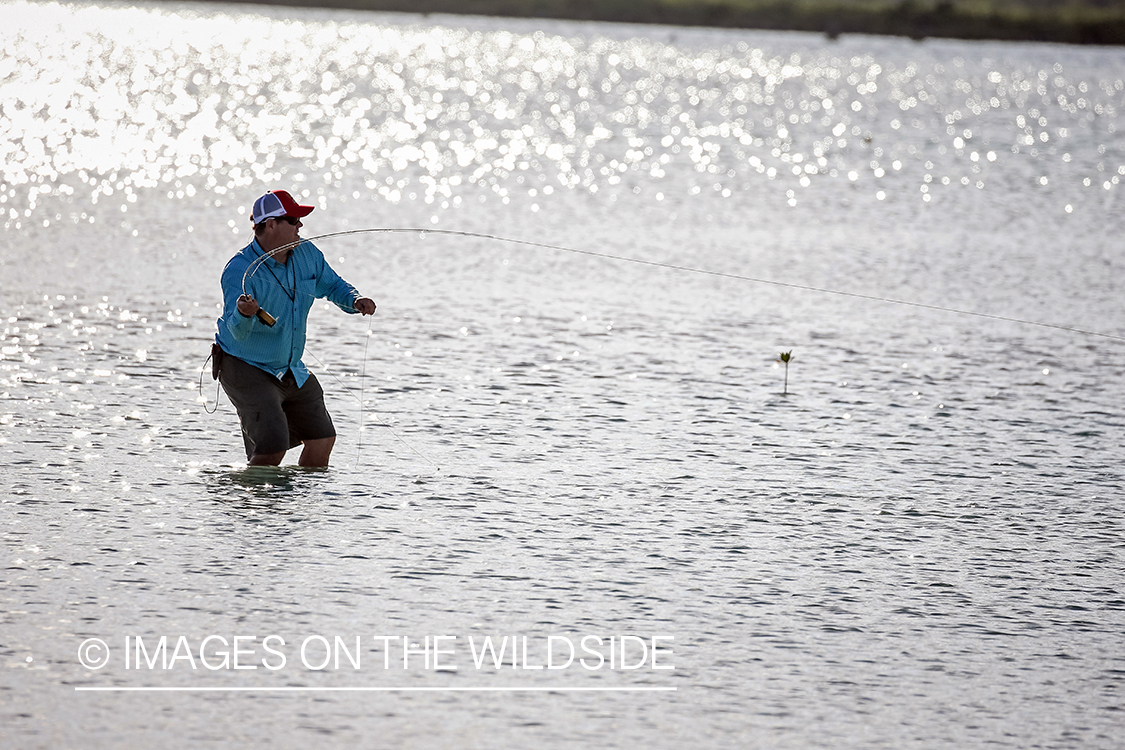 Flyfisherman fighting bonefish.