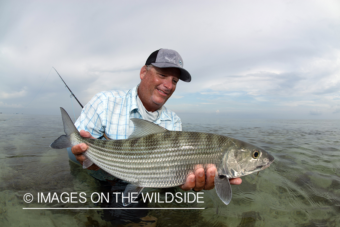 Flyfisherman releasing bonefish.