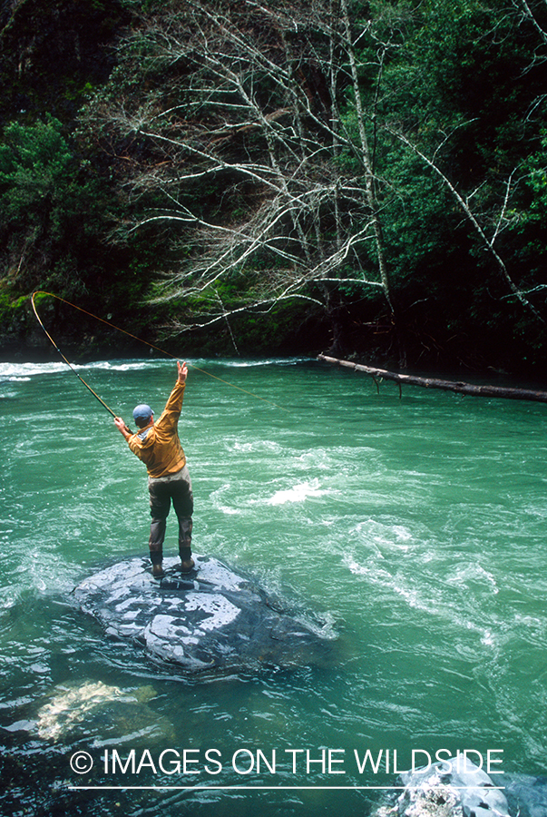 Flyfisherman with fish on. 