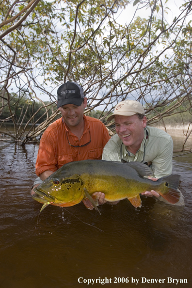 FishermAn holding Peacock Bass