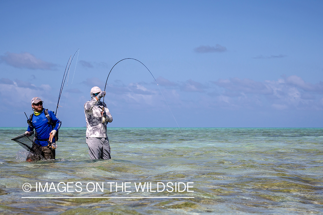 Flyfisherman catching fish on St. Brandon's Atoll flats.