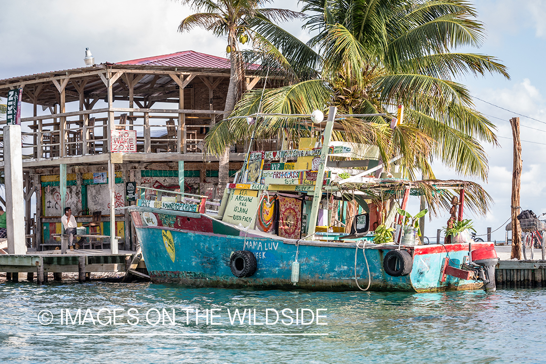 Saltwater flyfishing in Belize.