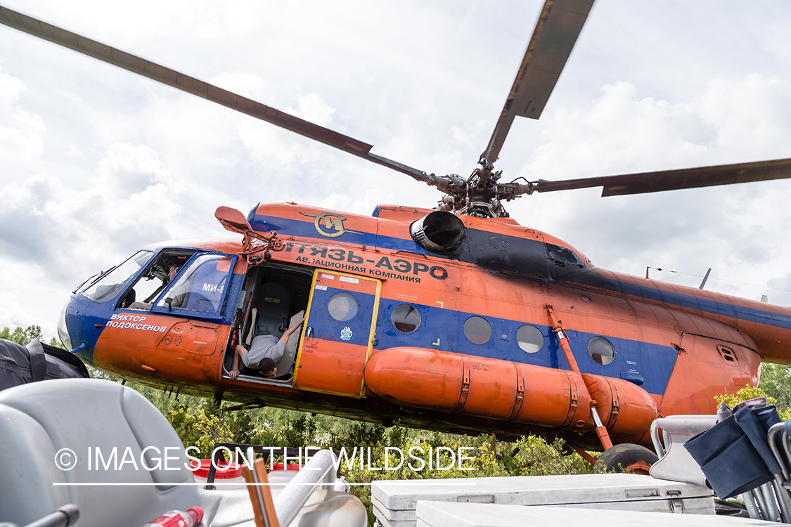 Russian helicopter taking off in Kamchatka Peninsula, Russia.