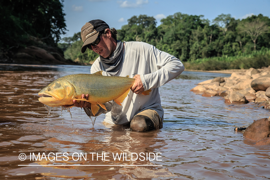 Flyfishing for Golden Dorado in Bolivia.