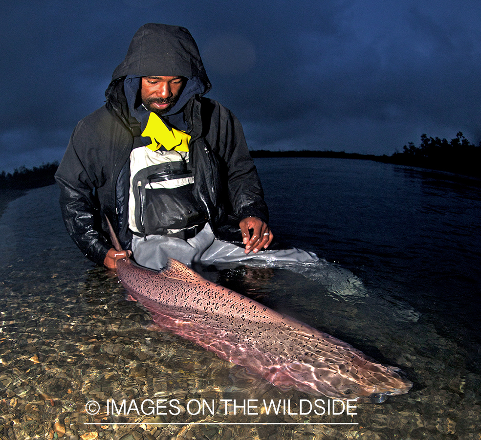 King Salmon on Bristol Bay.