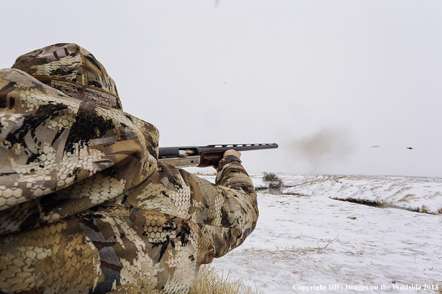 Waterfowl hunter shooting ducks.