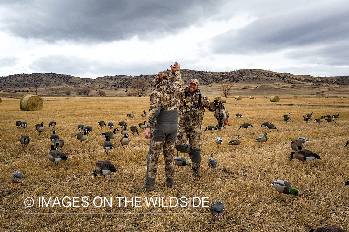 Hunters with bagged mallard duck.