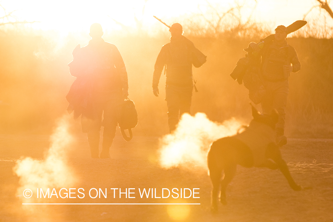 Waterfowl hunting