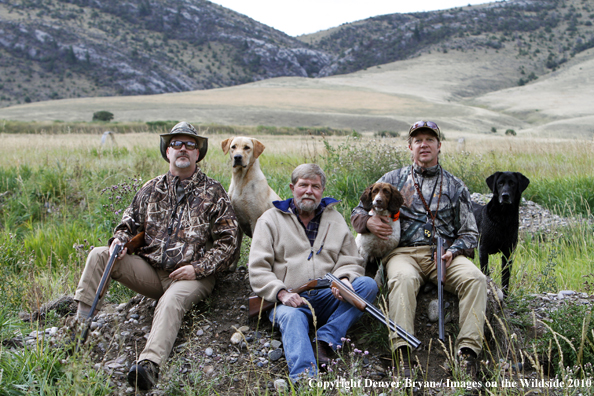 Dove Hunting