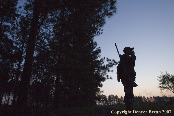 Turkey hunter calling in the field