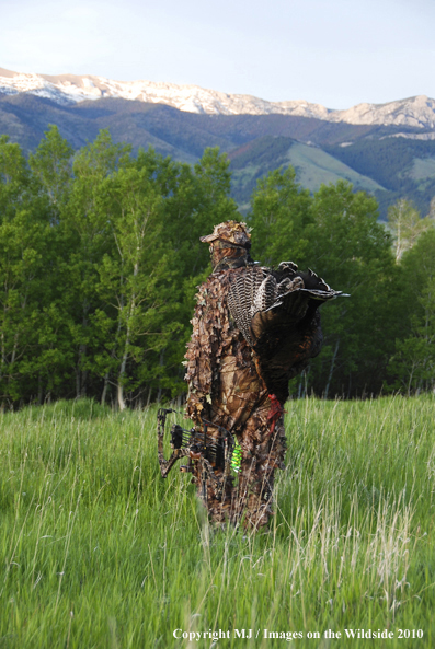 Turkey Hunter in Field