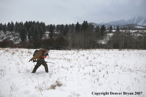 Moose hunter in field