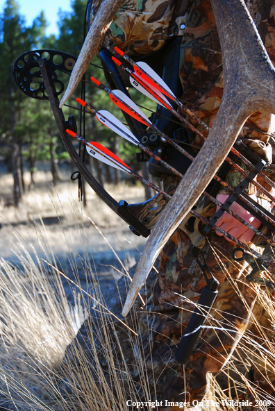 Bowhunter in field with elk rack.