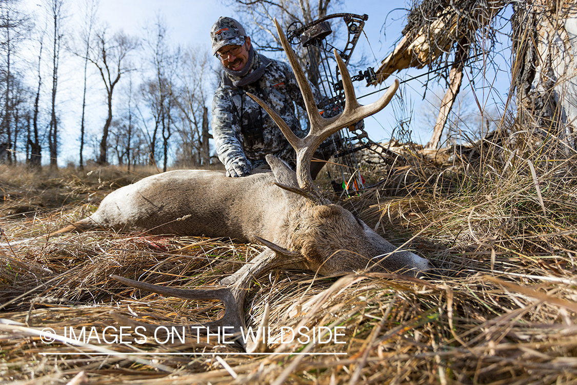 Bow hunter with downed white-tailed deer.