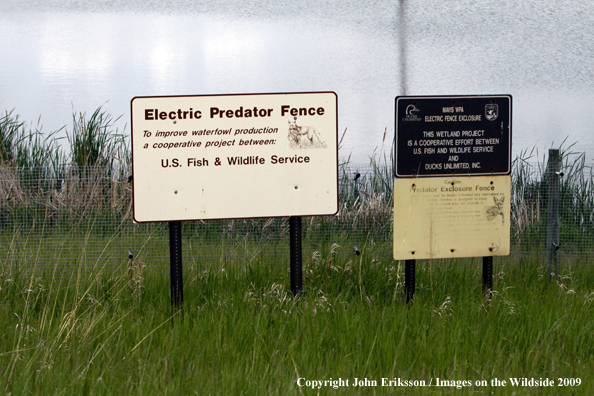 Signs posted on wetlands about electric fence for predators