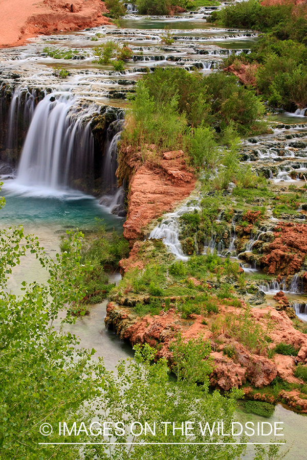 Small waterfall on Havasu Creek.