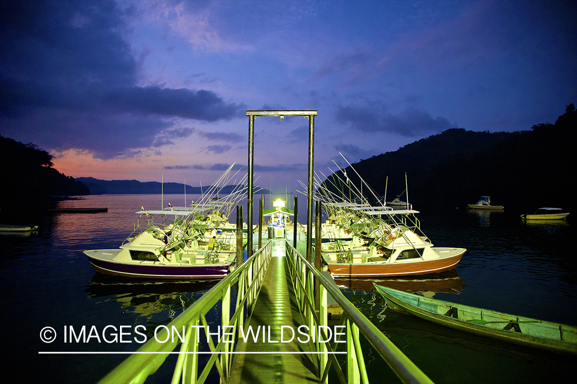 Boat docked at marina at night.