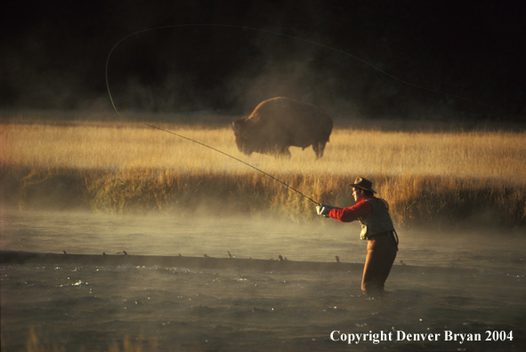 Freshwater Flyfisherman with buffalo.