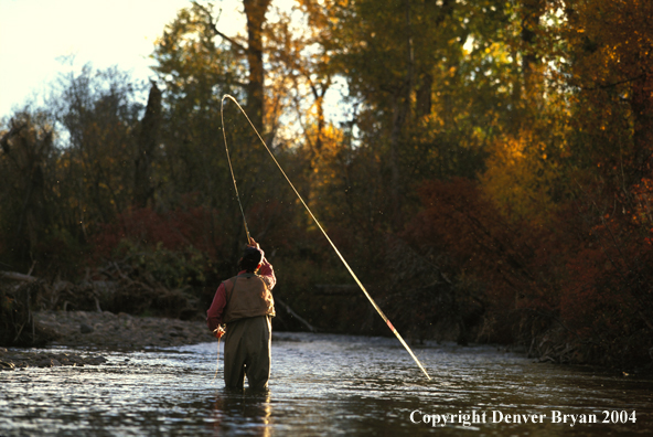 Flyfisherman with fish on the line.