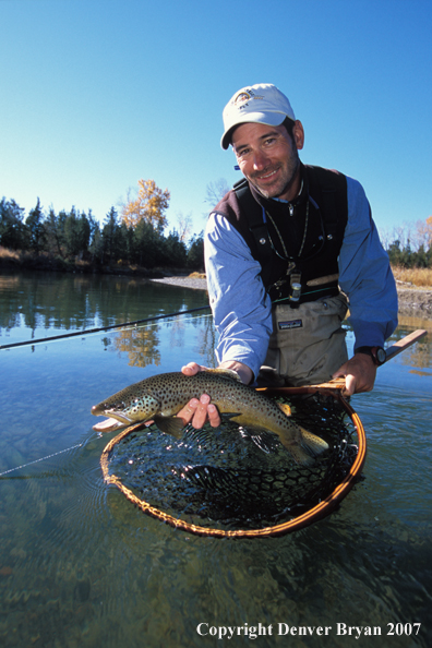 Flyfisherman releasing brown trout.