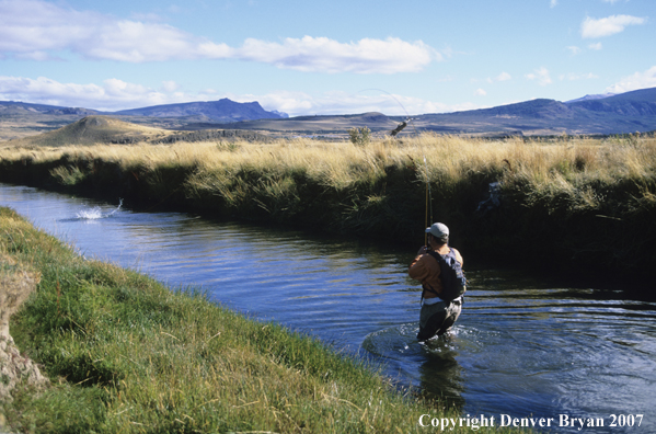 Angler reeling in a catch