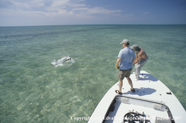 Guide and angler playing a tarpon