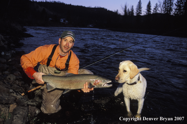 Flyfisherman holding steelhead with yellow Lab.