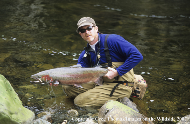 Flyfishing steelhead