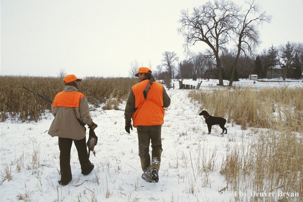 Father and son pheasant hunting.