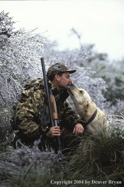 Waterfowl hunter with yellow Lab. 