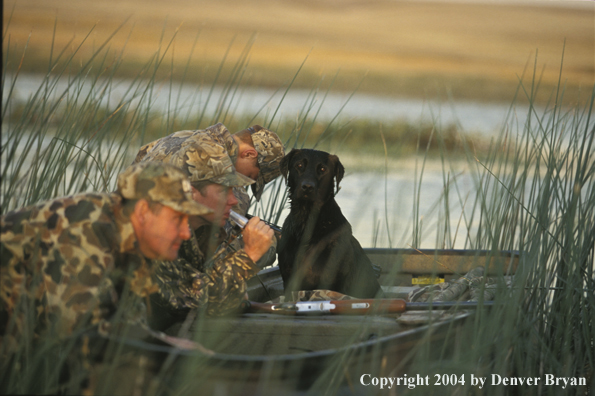 Waterfowl hunters with black Lab. 