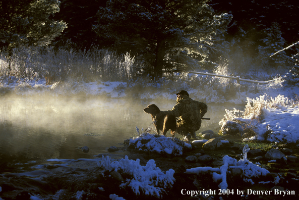 Waterfowl hunter with Lab. 