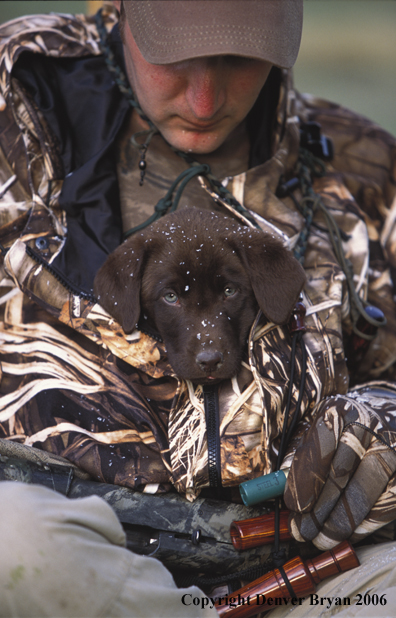 Waterfowl hunter with chocolate Lab pup. 