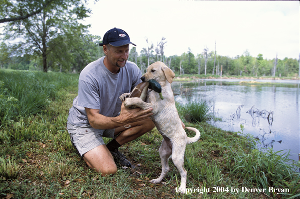 Yellow Labrador Retriever pup with trainer