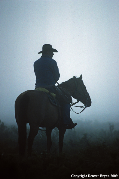 Cowboy in early morning fog