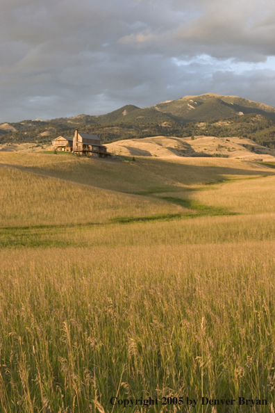 Landscape of Montana fields with a home in the background.