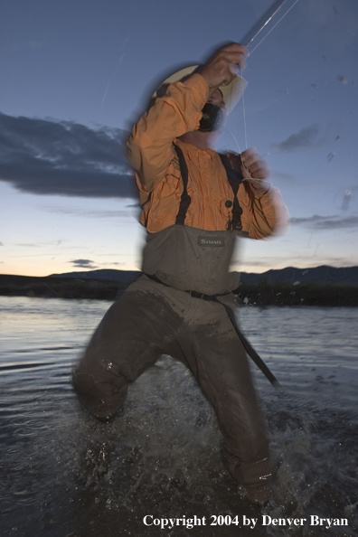 Flyfisherman playing fish at dusk (MR)