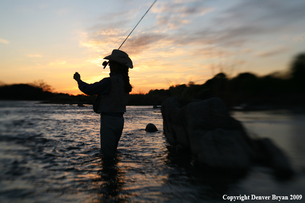 Woman flyfishing