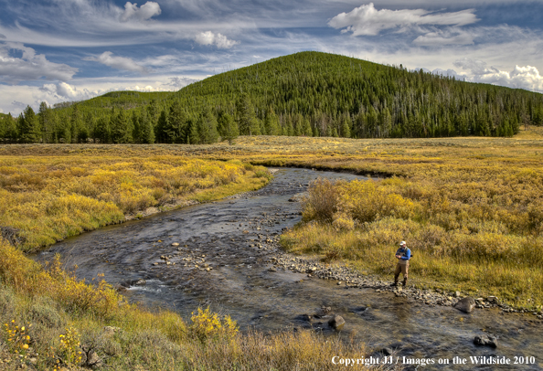 Fan Creek, Yellowstone National Park.