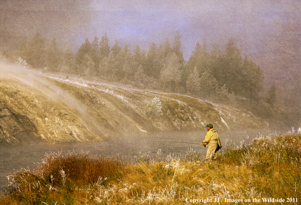 Flyfishing on the Firehole River, Yellowstone National Park. 