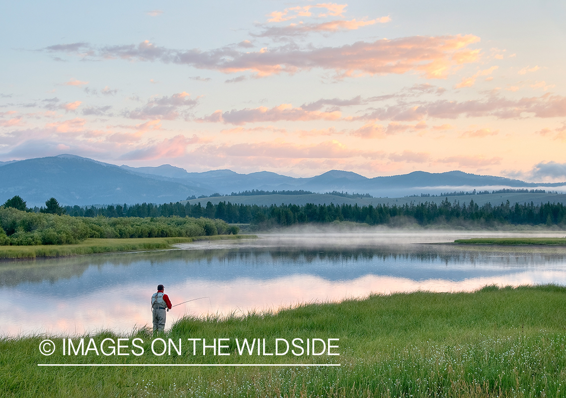 Flyfishing during sunrise on South Fork Madison, MT.