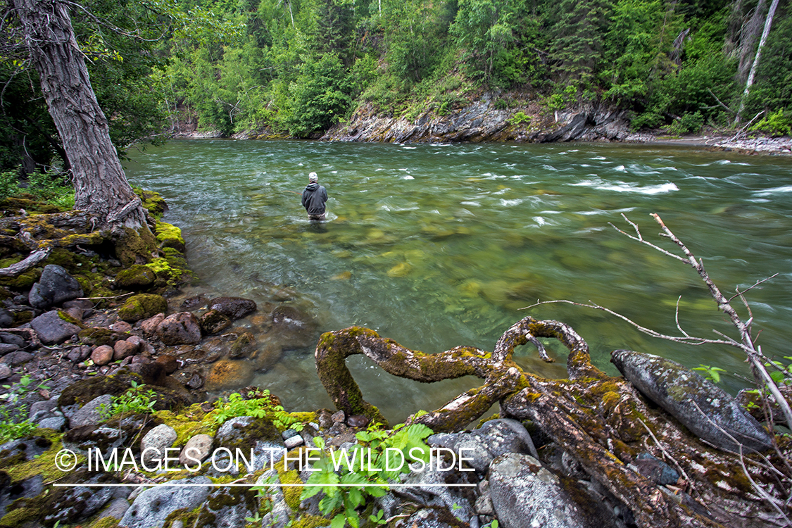 Flyfisherman spey casting on Nakina River, British Columbia.