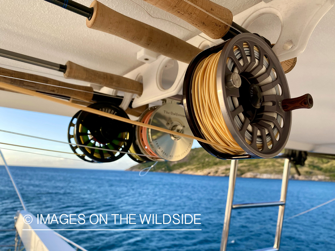 Flyrods hanging on boat.